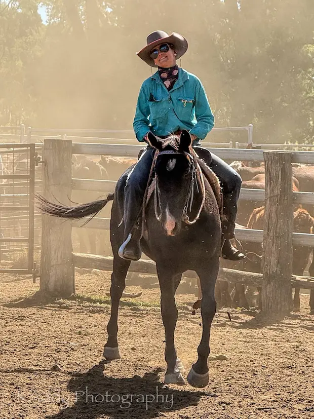 Photograph of a person wearing a teal shirt, cowboy hat, and sunglasses riding a black horse in a dusty outdoor corral with wooden fencing. The scene captures a sunny, rural setting with cattle visible in the background, highlighting equestrian activity.