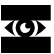 Black and white icon indicating text is being masked.